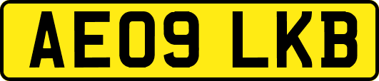 AE09LKB