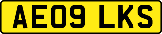 AE09LKS