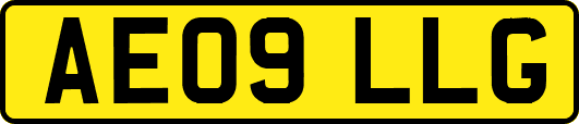 AE09LLG