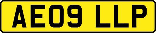 AE09LLP