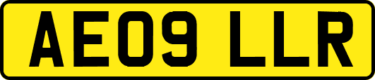 AE09LLR