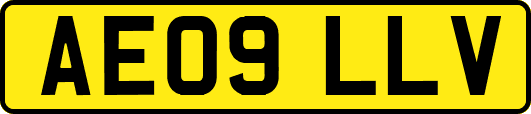 AE09LLV