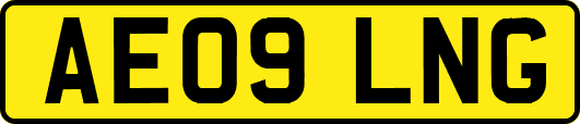AE09LNG