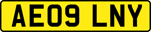 AE09LNY