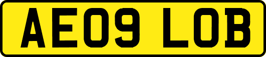 AE09LOB