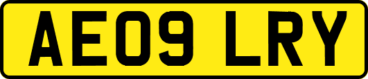 AE09LRY