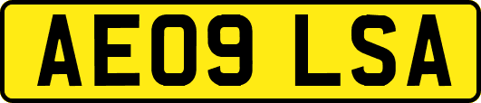 AE09LSA