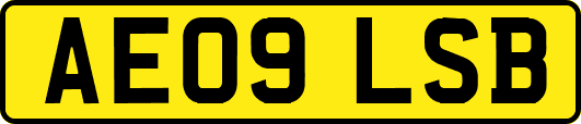 AE09LSB