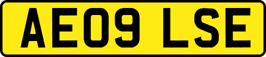 AE09LSE
