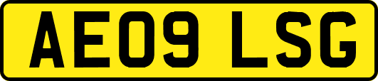 AE09LSG