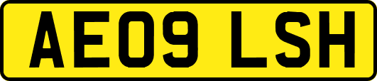 AE09LSH