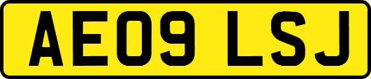 AE09LSJ