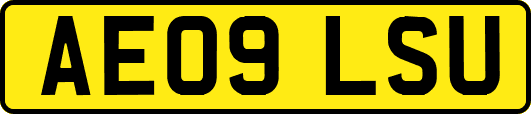 AE09LSU