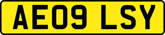 AE09LSY