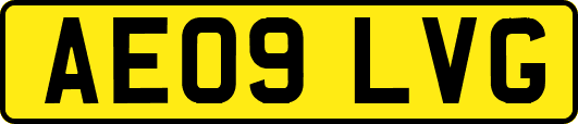 AE09LVG