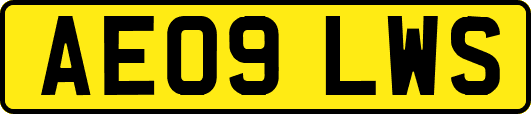 AE09LWS