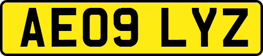 AE09LYZ