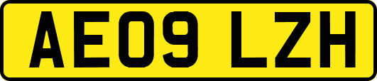 AE09LZH