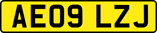 AE09LZJ