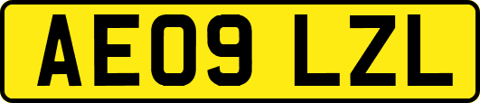 AE09LZL