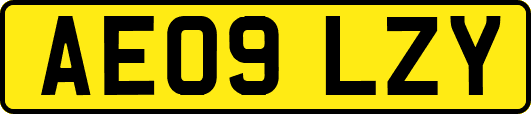 AE09LZY