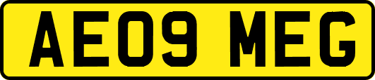 AE09MEG