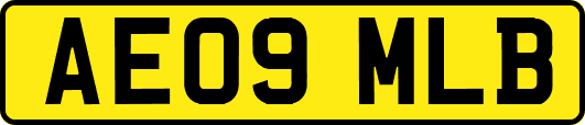 AE09MLB