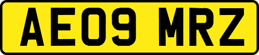 AE09MRZ