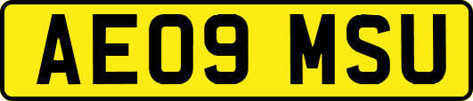 AE09MSU