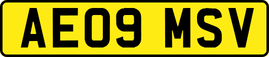 AE09MSV