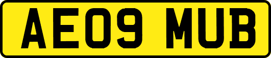 AE09MUB