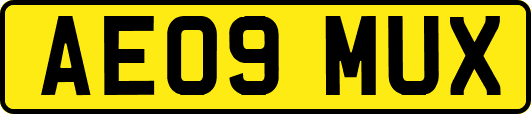 AE09MUX