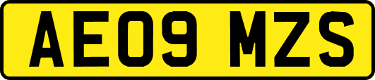 AE09MZS