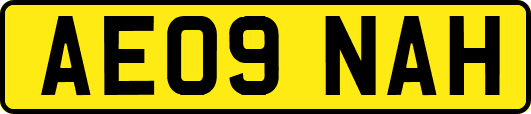 AE09NAH