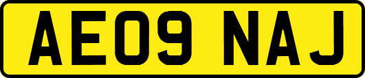 AE09NAJ