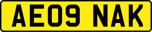 AE09NAK