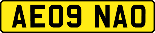 AE09NAO