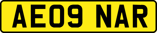 AE09NAR