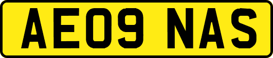 AE09NAS
