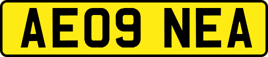 AE09NEA