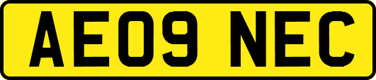 AE09NEC