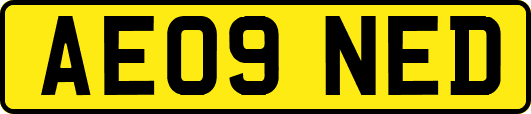 AE09NED