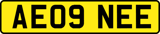 AE09NEE