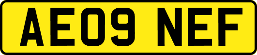 AE09NEF