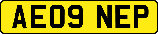 AE09NEP