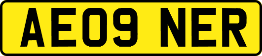 AE09NER