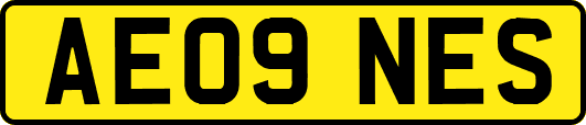 AE09NES