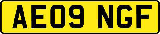 AE09NGF