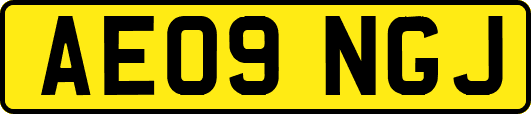 AE09NGJ