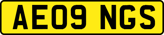 AE09NGS